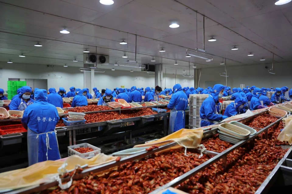 ����ƽ����ʤ���º�����ж�����Ѵ��Ѵ����ȫ�����ͻ�����������