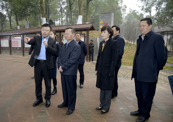 胡忠雄在华容县调研